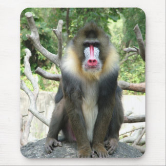baboon,狒狒 mouse pad