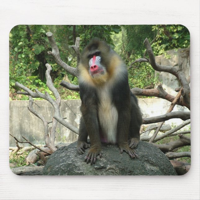 baboon,狒狒 mouse pad (Front)