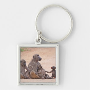 Baboon family sitting on ground keychain