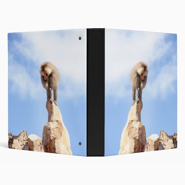 Baboon monkey on top of a mountain binder (Background)