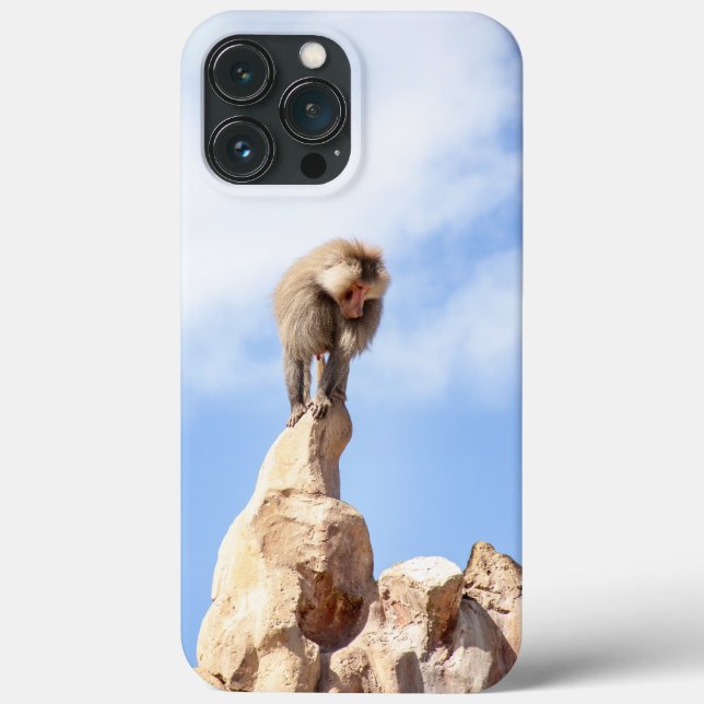 Baboon monkey on top of a mountain Case-Mate iPhone case (Back)