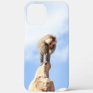 Baboon monkey on top of a mountain iPhone 12 pro max case