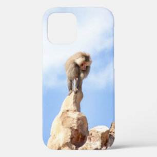 Baboon monkey on top of a mountain iPhone 12 case