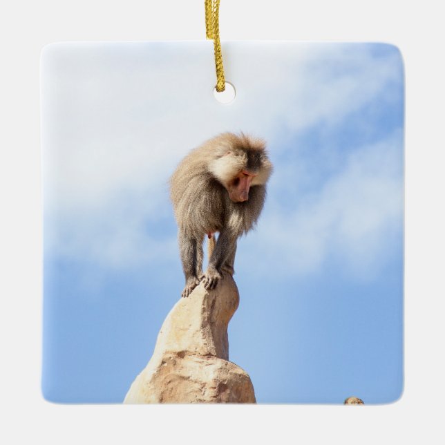 Baboon monkey on top of a mountain ceramic ornament (Front)