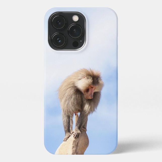 Baboon monkey on top of a mountain iPhone case (Back)