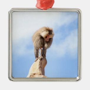Baboon monkey on top of a mountain metal ornament