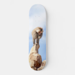 Baboon monkey on top of a mountain skateboard
