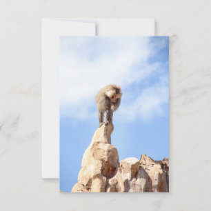 Baboon monkey on top of a mountain thank you card