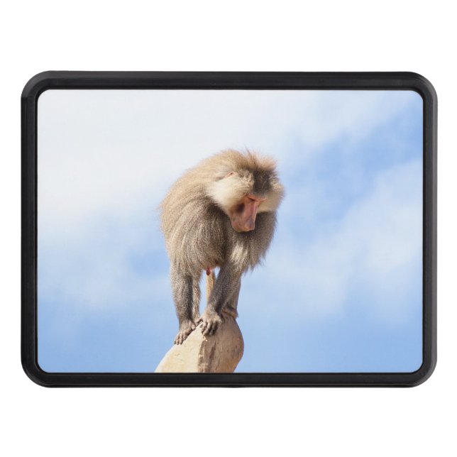 Baboon monkey on top of a mountain trailer hitch cover (Front)