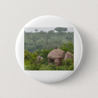 Baboon on a Rock 2 Inch Round Button