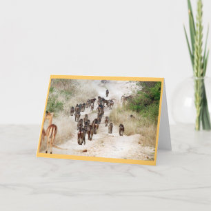 Baboon rush hour card
