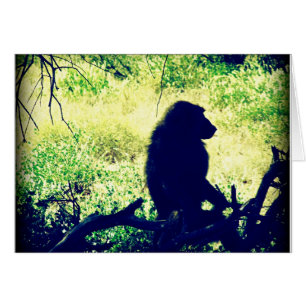 Baboon Silhouette