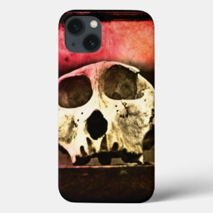 Baboon Skull Sunset iPad Air case