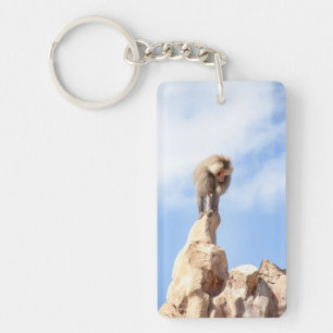 Babouin singe au sommet d'une montagne