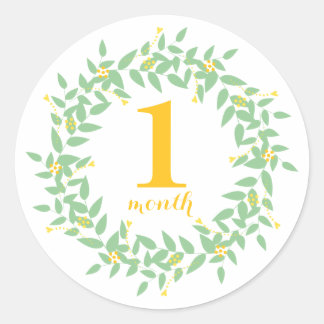 Baby 1 Month Classic Round Sticker, Glossy Classic Round Sticker