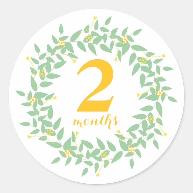 Baby 2 Months Classic Round Sticker, Glossy Sticker (Front)
