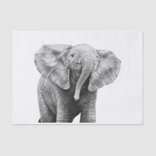Baby African Elephant Tissue Paper