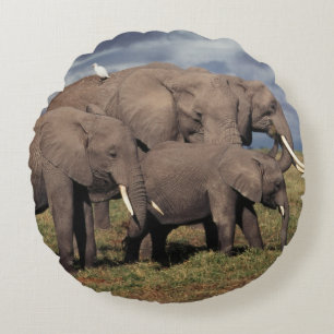 Baby African Elephant with family Round Pillow