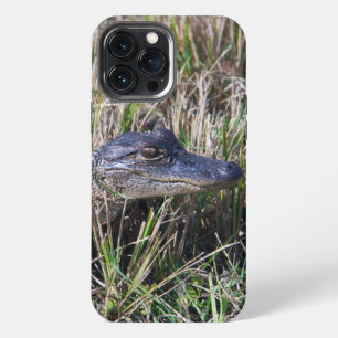 Baby Alligator in Marsh Grass Photography iPhone 13 Pro Max Case