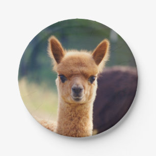 Baby Alpaca 7 Inch Paper Plate