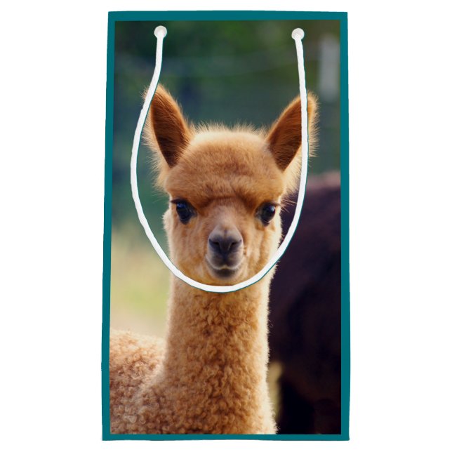 Baby Alpaca Small Gift Bag (Front)