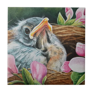Baby American Robin Bird in Nest Watercolor Art Tile