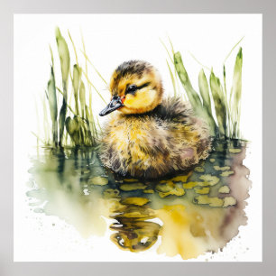 Baby Animal Prints for Nursery, Cute Duck poster