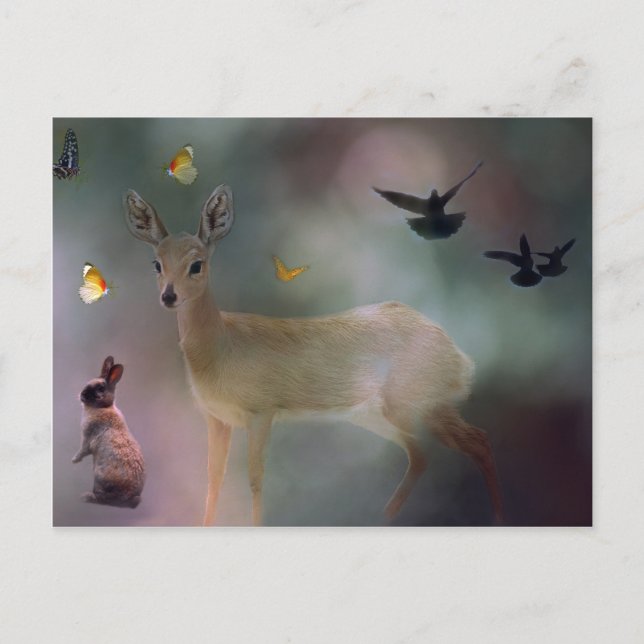 Baby animals forest fantasy postcard (Front)