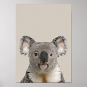 Baby Animals Nursery Poster - Koala