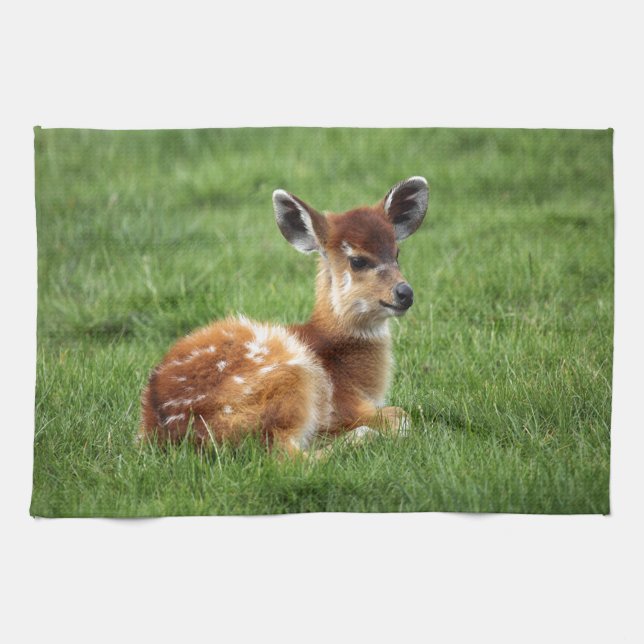 Baby Antelope Kitchen Towel (Horizontal)