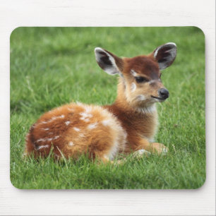 Baby Antelope Mouse Pad
