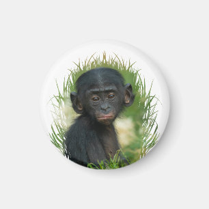 Baby Ape In the Grass Magnet