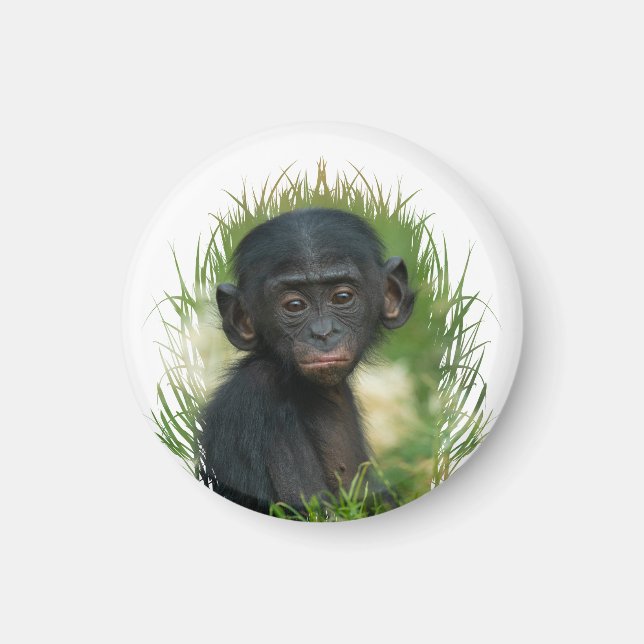Baby Ape In the Grass Magnet (Front)