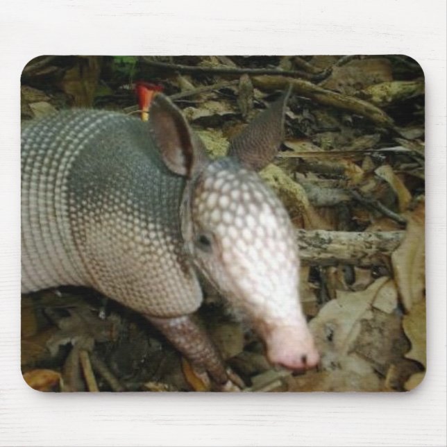 Baby Armadillo Mouse Pad (Front)