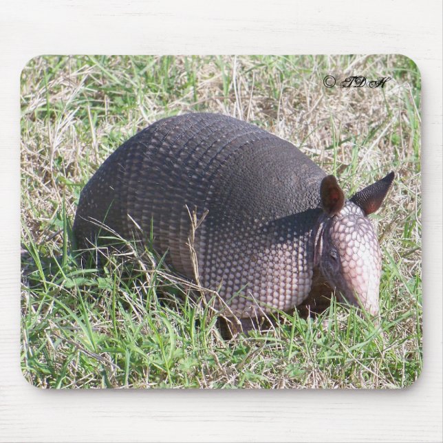 Baby Armadillo ©TDH Mouse Pad (Front)