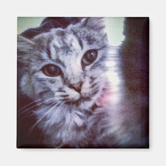 Baby Artemis Magnet