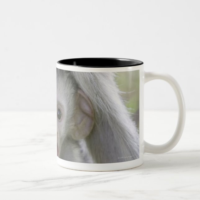 Baby baboon underneath its mother Two-Tone coffee mug (Right)