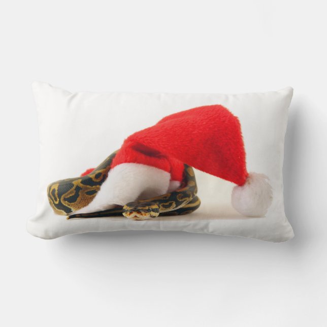 Baby Ball Python Coussin (Recto)