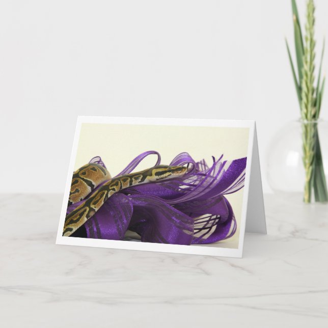 Baby Ball Python Greeting Card (Front)