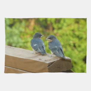 Baby Barn Swallows Nature Bird Photography Kitchen Towel