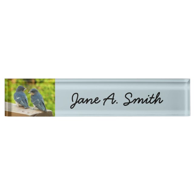 Baby Barn Swallows Nature Bird Photography Nameplate (Front)