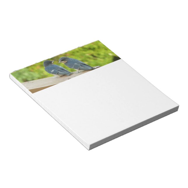 Baby Barn Swallows Nature Bird Photography Notepad (Angled)