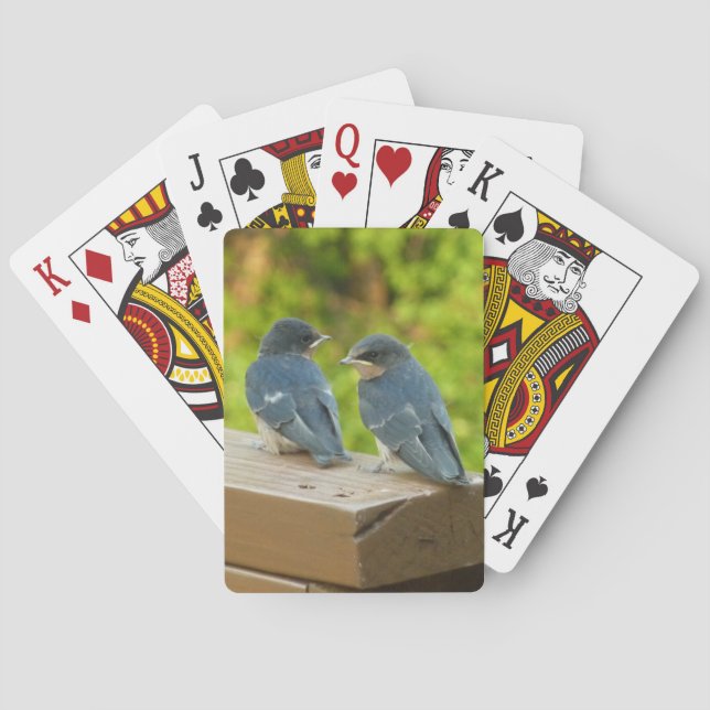 Baby Barn Swallows Nature Bird Photography Playing Cards (Back)