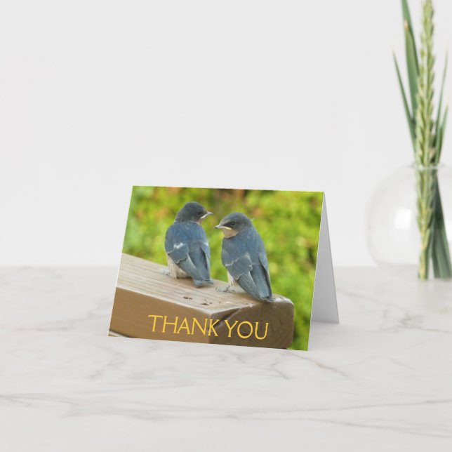 Baby Barn Swallows Thank You Card (Front)