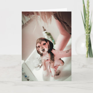 Baby Beagle Bathtime Card