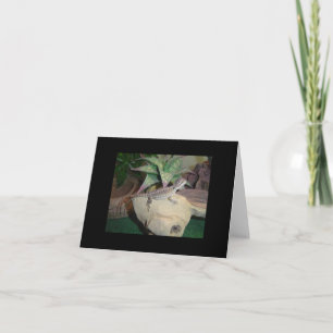 Baby Bearded Dragon Blank Notecard