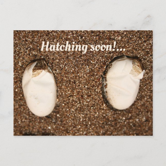 Baby Bearded Dragons Hatching! Postcard (Front)