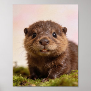 Baby Beaver Nursery Wall Art Print