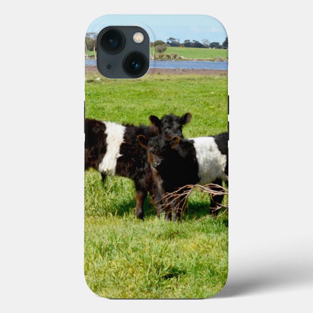 Baby Belted Galloway Calves, iPhone 13 Case  (Back)