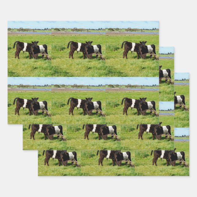 Baby Belted Galloway Calves, Wrapping Paper Sheets (Set)
